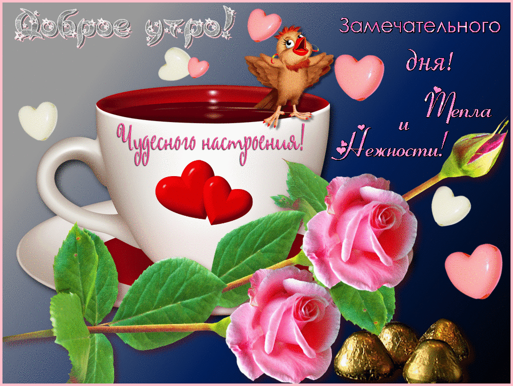 Начните свой день с позитивного настроя и улыбки. Доброе утро!