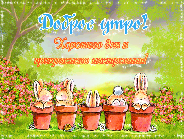 Желаю вам утра, наполненного миром, любовью и радостью.