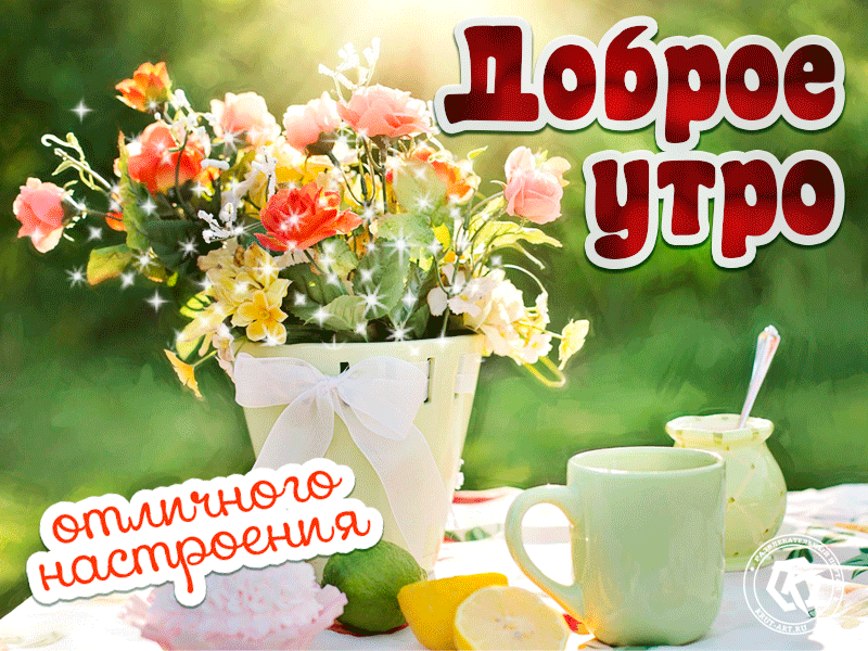Начните свой день с благодарным сердцем и позитивным настроем. Доброе утро!