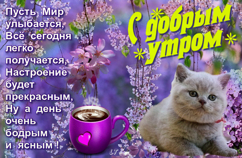 Начните свой день с улыбки и позитивного настроя. Доброе утро!