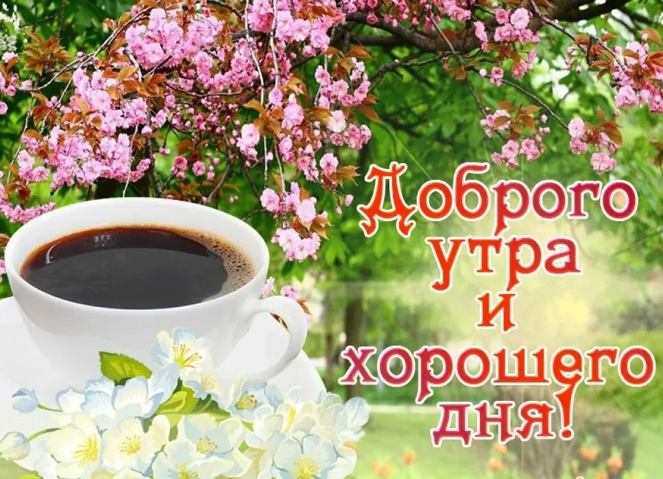 Доброе утро! Давайте сделаем сегодня день чудес и приключений.