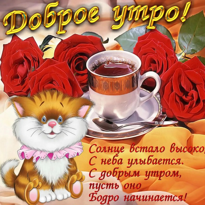 Доброе утро! Вот и настал день, наполненный смехом, добротой и множеством хороших моментов.