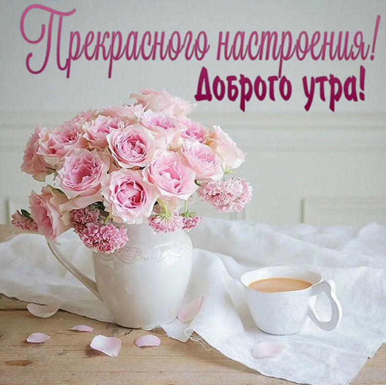 Желаю вам утра, наполненного миром, любовью и радостью.