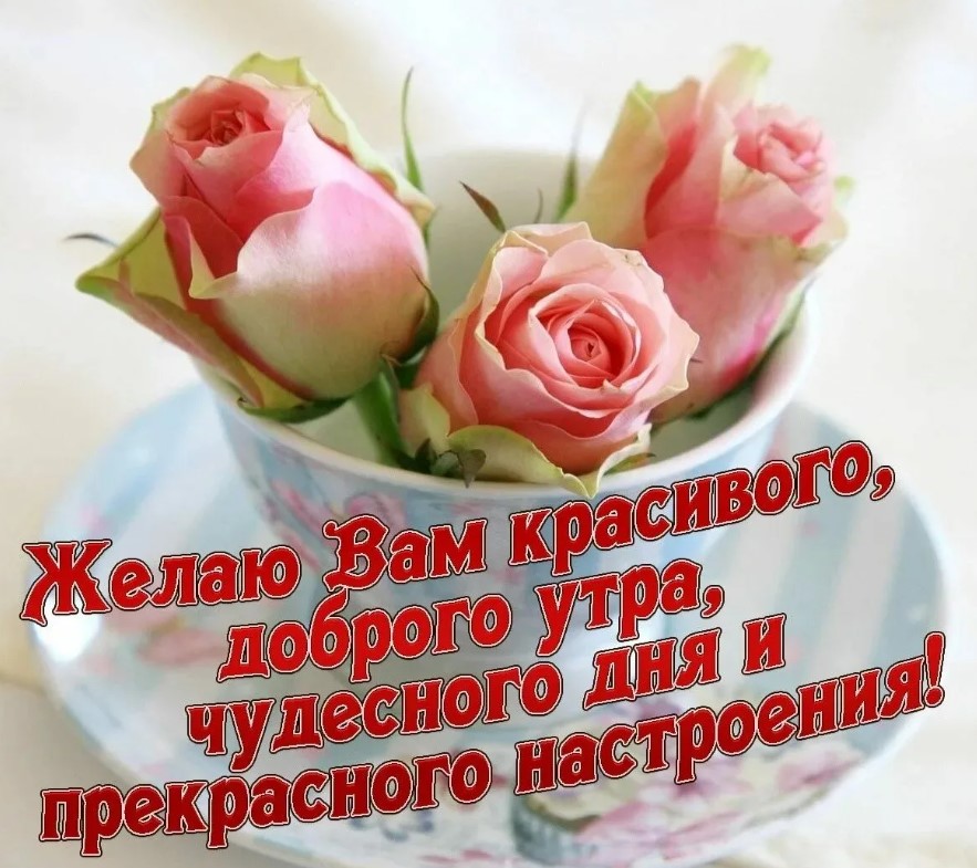 Пусть солнечный свет этого утра осветит ваш путь к успеху. Доброе утро!
