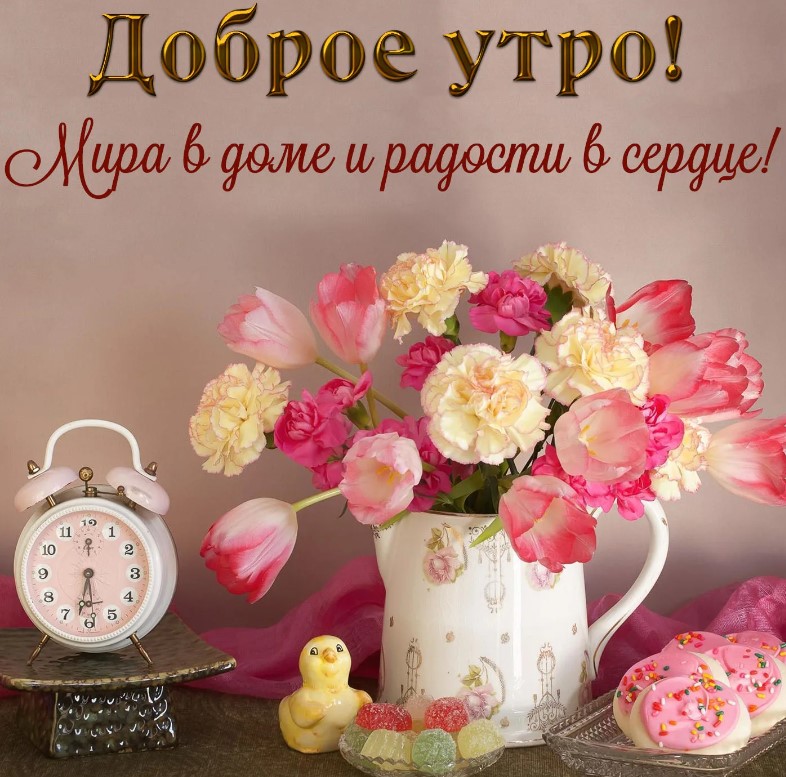 Доброе утро! Настал день, наполненный возможностями и ростом.