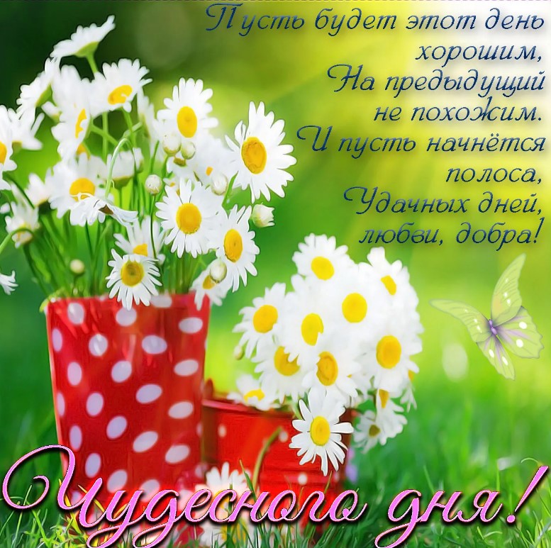 Доброе утро! Пусть сегодня будет день, наполненный солнечным светом, счастьем и удачей.