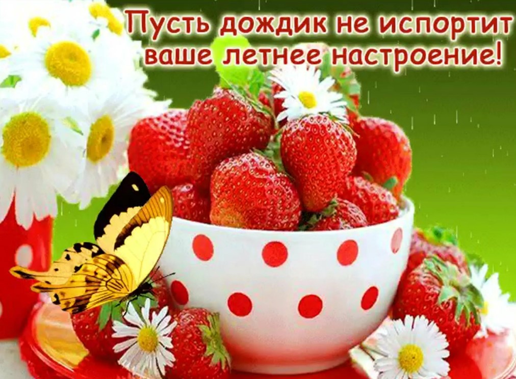 Давайте покорим этот день улыбкой. Доброе утро и хорошего дня впереди.