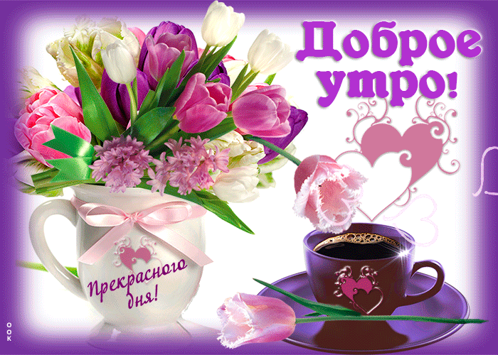 Доброе утро! Желаю вам дня, полного приключений, любви и радости.