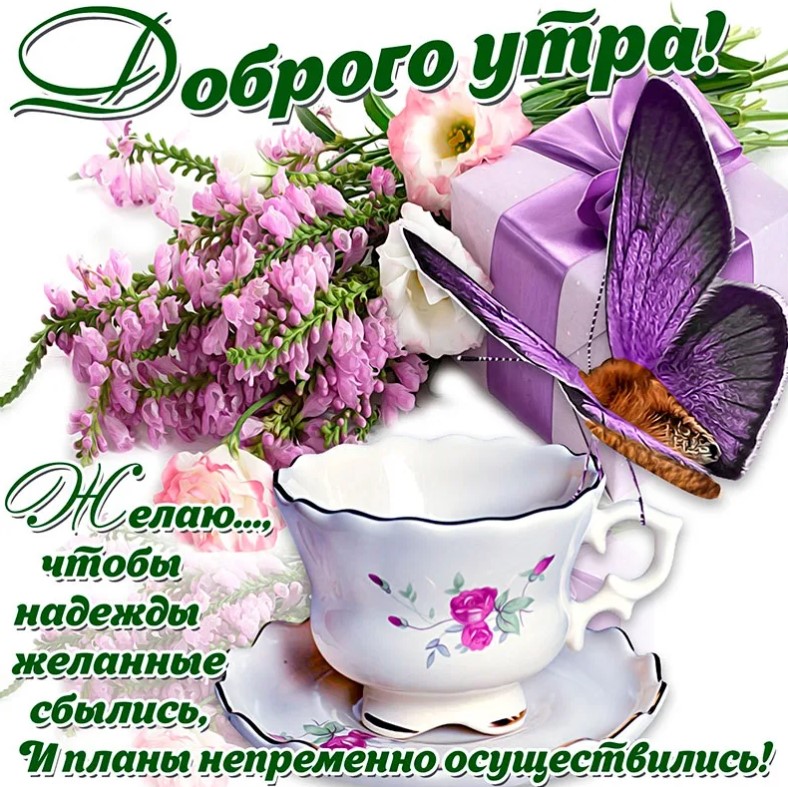 Доброе утро! Давайте сделаем сегодняшний день незабываемым.