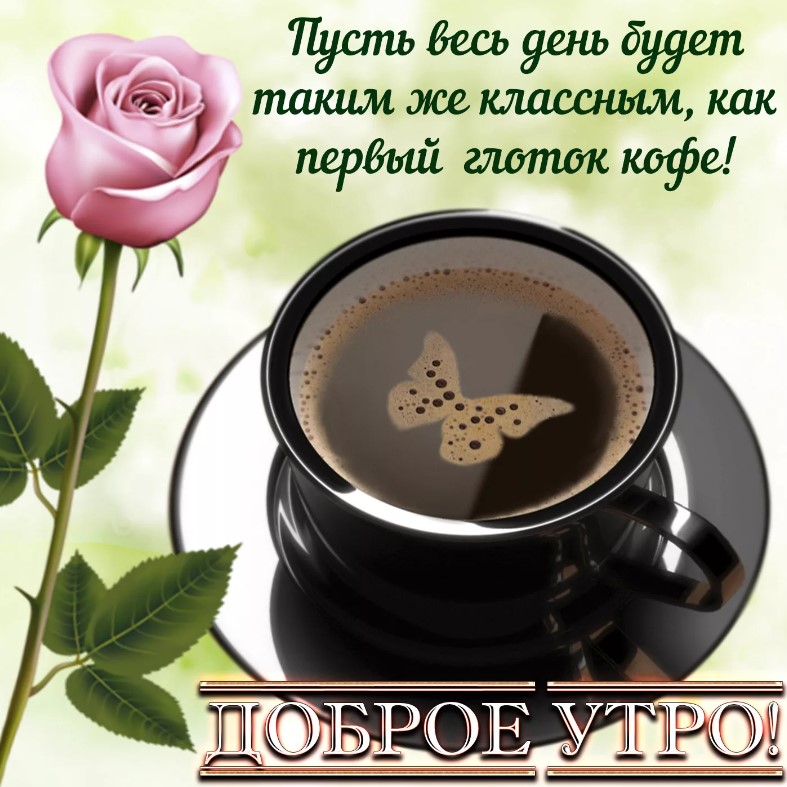 Желаю вам хорошего утра, наполненного позитивной энергией и хорошим настроением. Доброе утро!