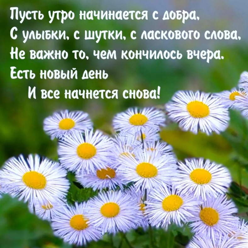 Доброе утро! Пусть ваш день будет наполнен радостью, смехом и множеством хороших моментов.