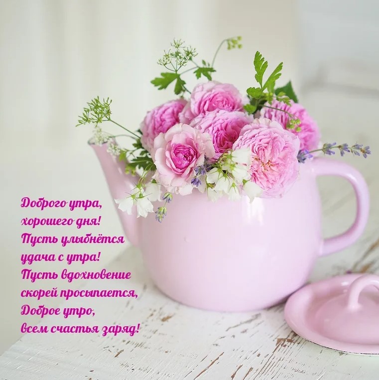 Доброе утро! Желаю вам дня, полного любви, мира и гармонии.