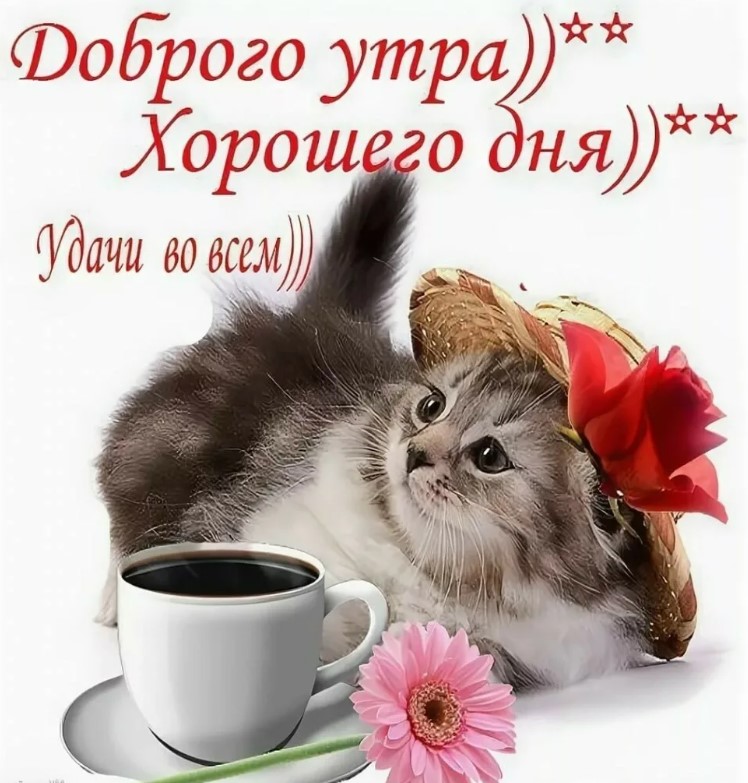 Начните свой день с чашки кофе и улыбки. Доброе утро!