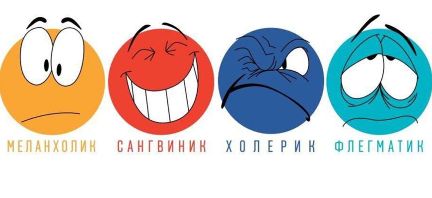 Типы темперамента