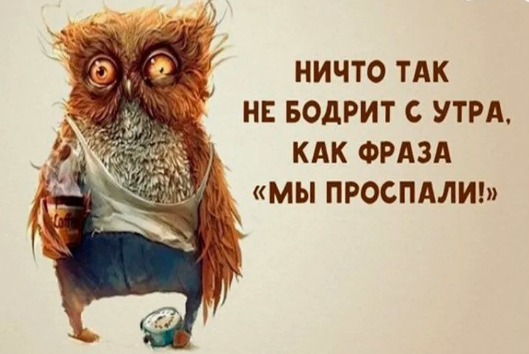 Афоризм про бодрое утро Афоризм про бодрое утро