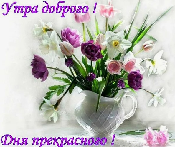 доброе утро хорошего дня и прекрасного настроения картинки красивые доброе утро хорошего дня и прекрасного настроения картинки красивые - 1