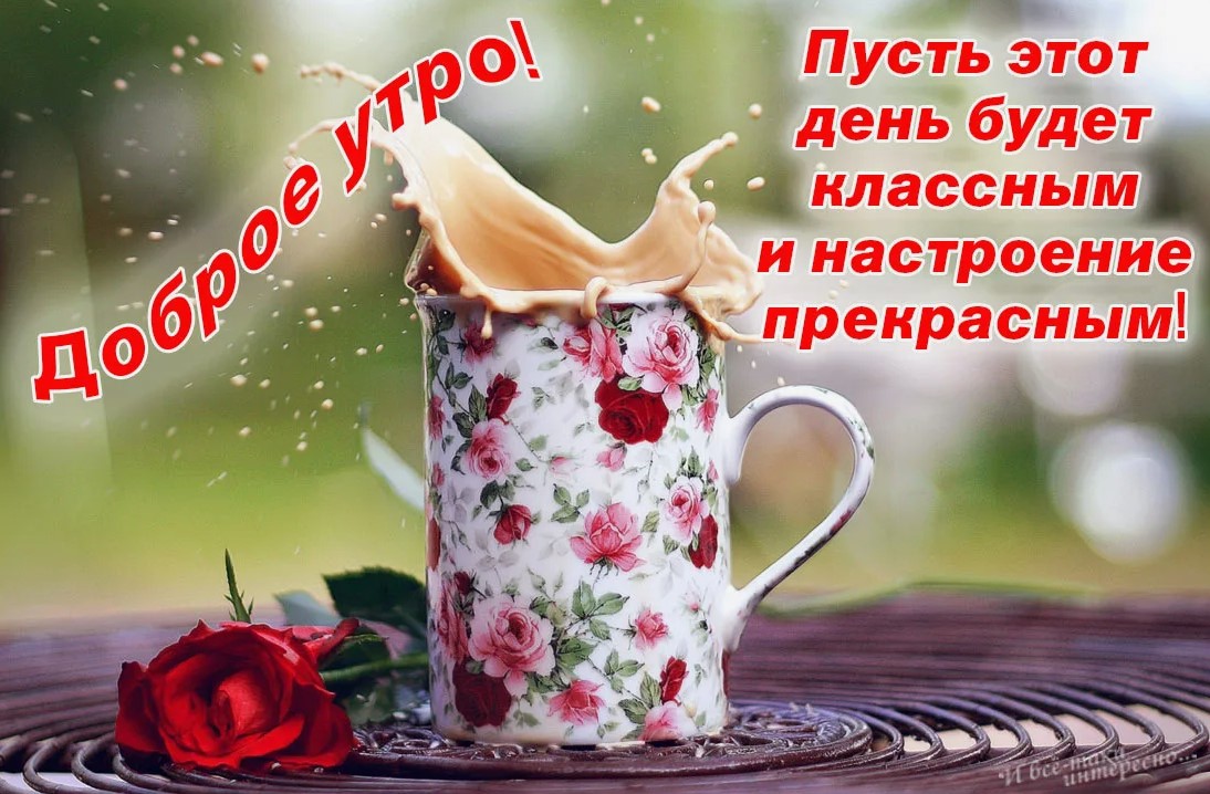 доброе утро хорошего дня и прекрасного настроения картинки красивые-16