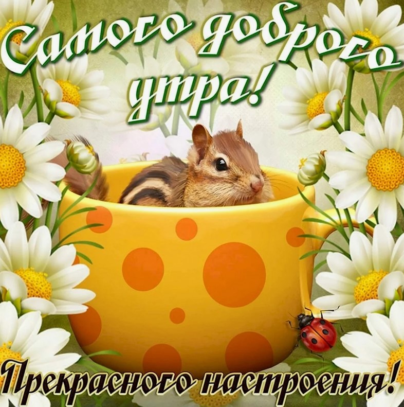 доброе утро хорошего дня и прекрасного настроения картинки красивые-27