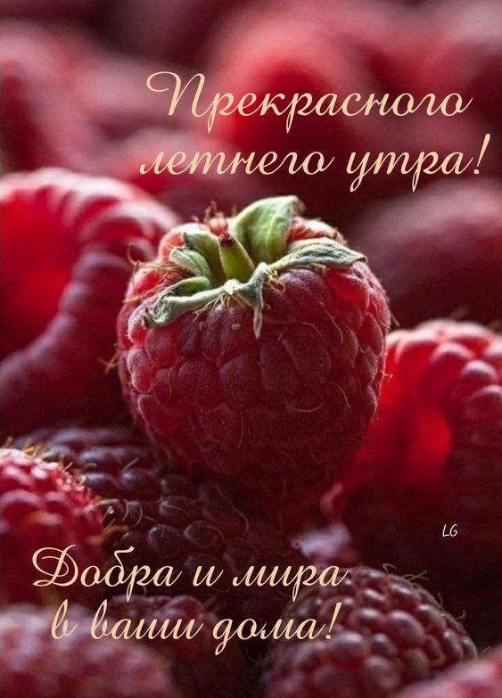 доброе утро хорошего дня и прекрасного настроения картинки красивые - 45