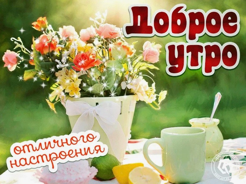 доброе утро хорошего дня и прекрасного настроения картинки красивые-5
