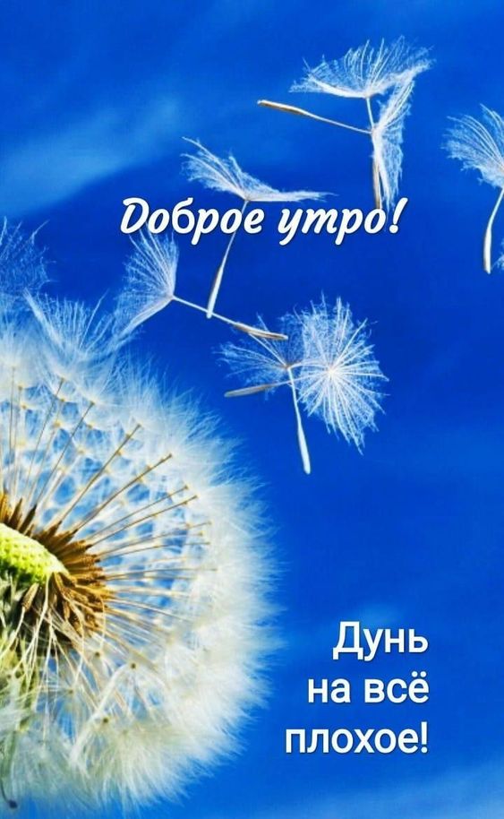 доброе утро хорошего дня и прекрасного настроения картинки красивые - 52