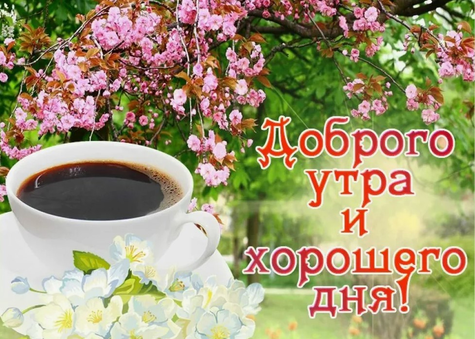 доброе утро хорошего дня и прекрасного настроения картинки красивые -6