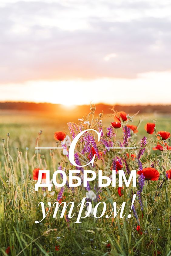 доброе утро хорошего дня и прекрасного настроения картинки красивые - 66