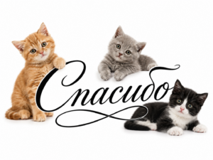 Картинка "Спасибо"